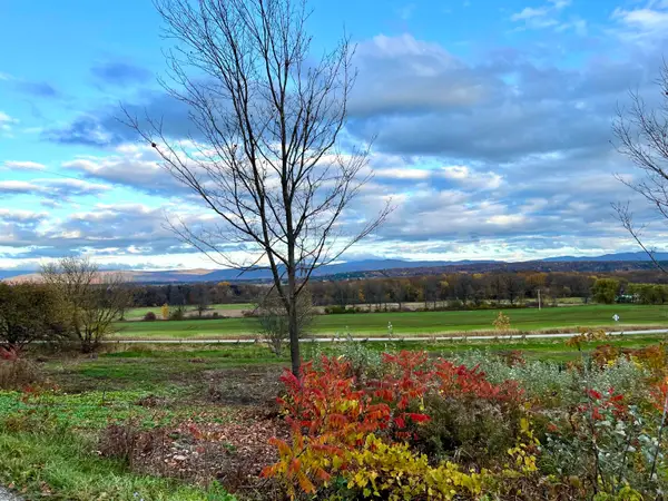 Lot 2 Snake Mountain Road, Weybridge, VT 05753