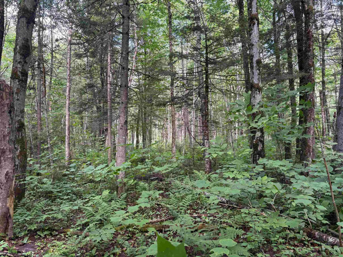 0 Newark Road, Brighton, VT 05846 - #1