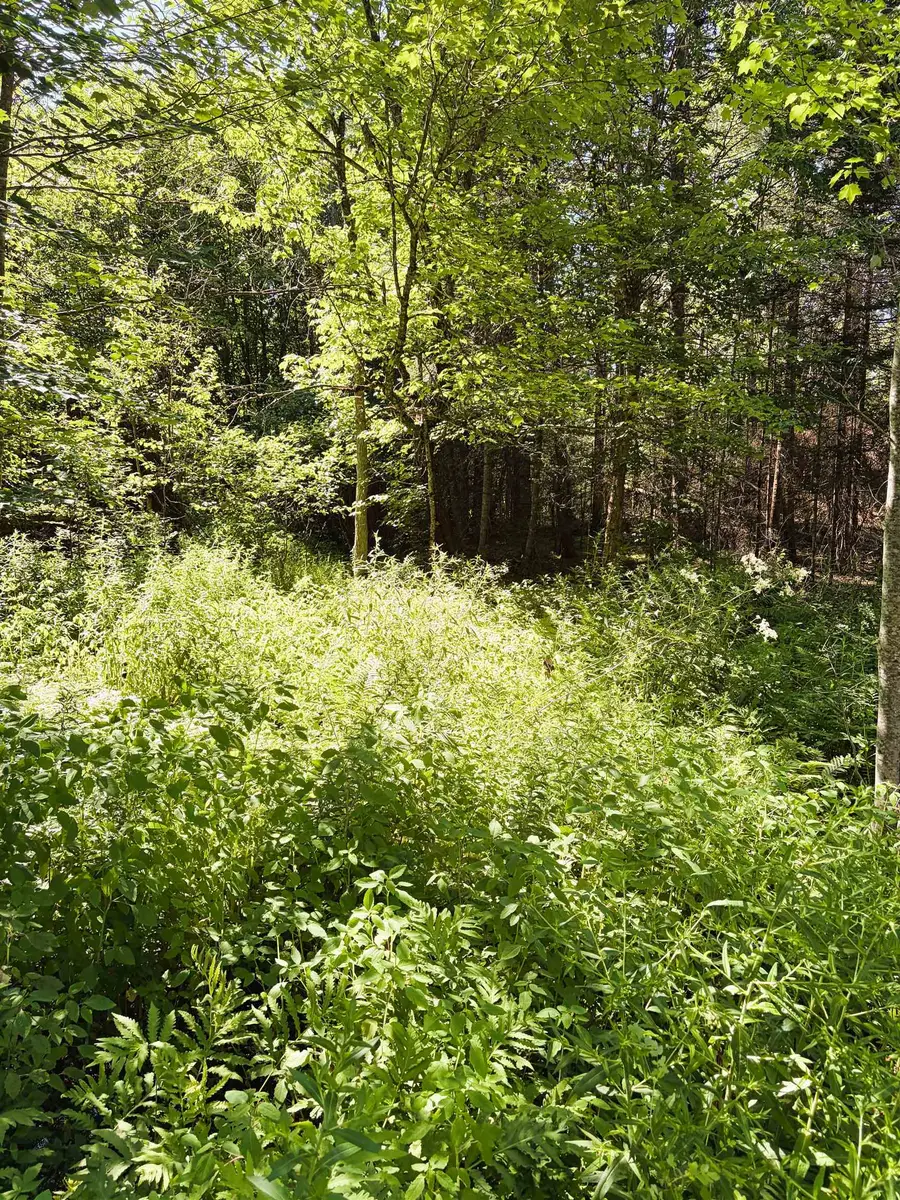 0 Parker Road, Whitefield, NH 03598 - #2