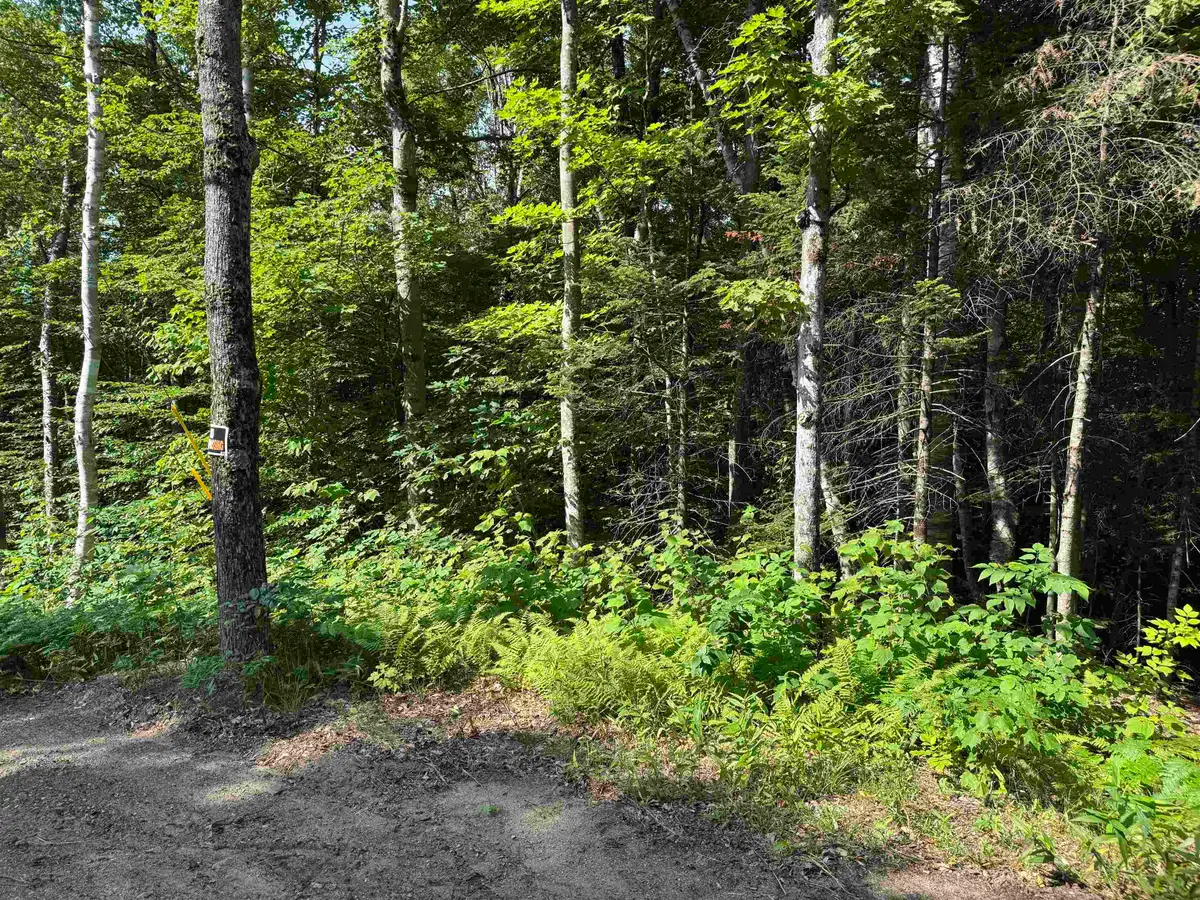 0 North Groton Road, Groton, NH 03241 - #1