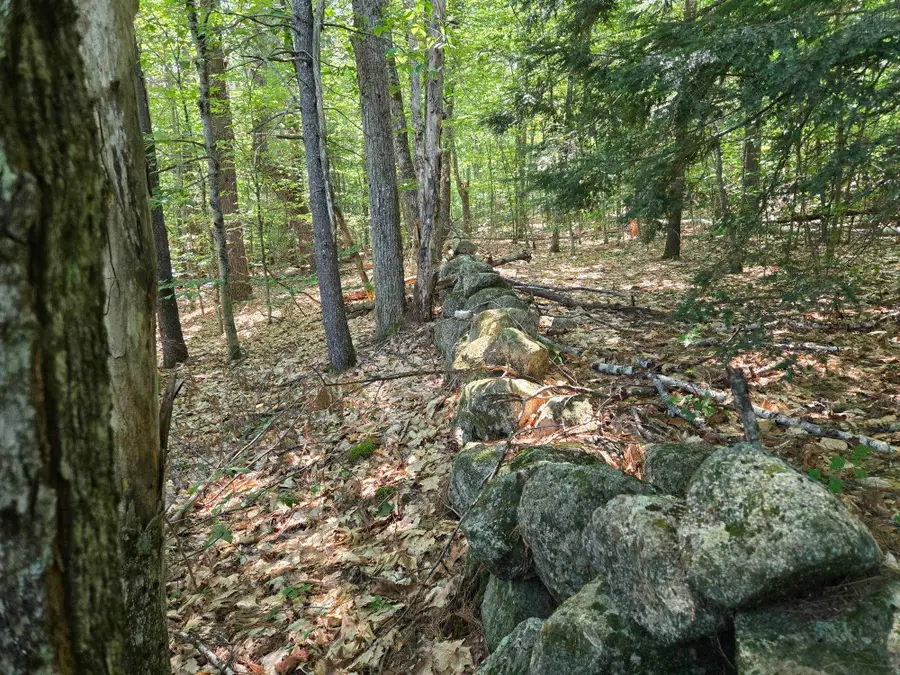 Lot 28 Davis Hill Road, Conway, NH 03813 - #3