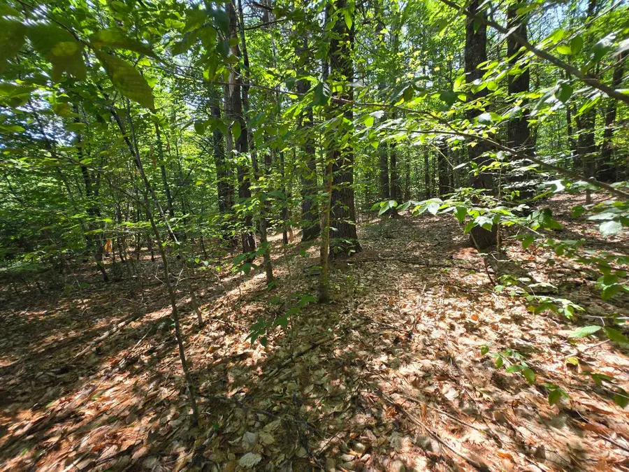 Lot 27 Davis Hill Road, Conway, NH 03813 - #3