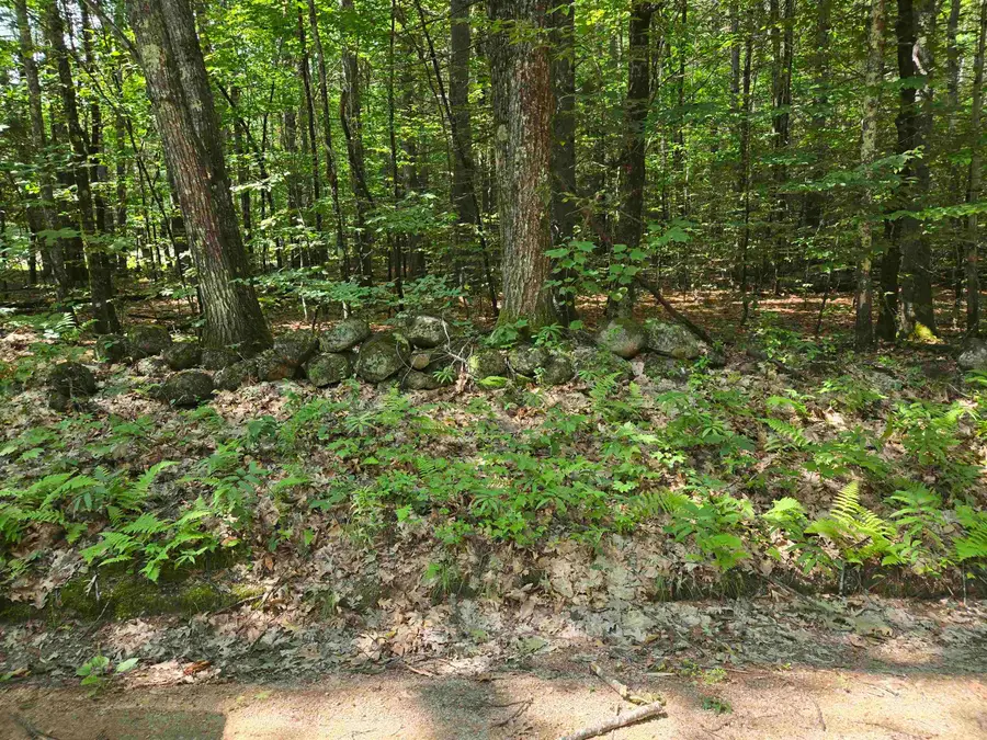 Lot 26 Davis Hill Road, Conway, NH 03813 - #2