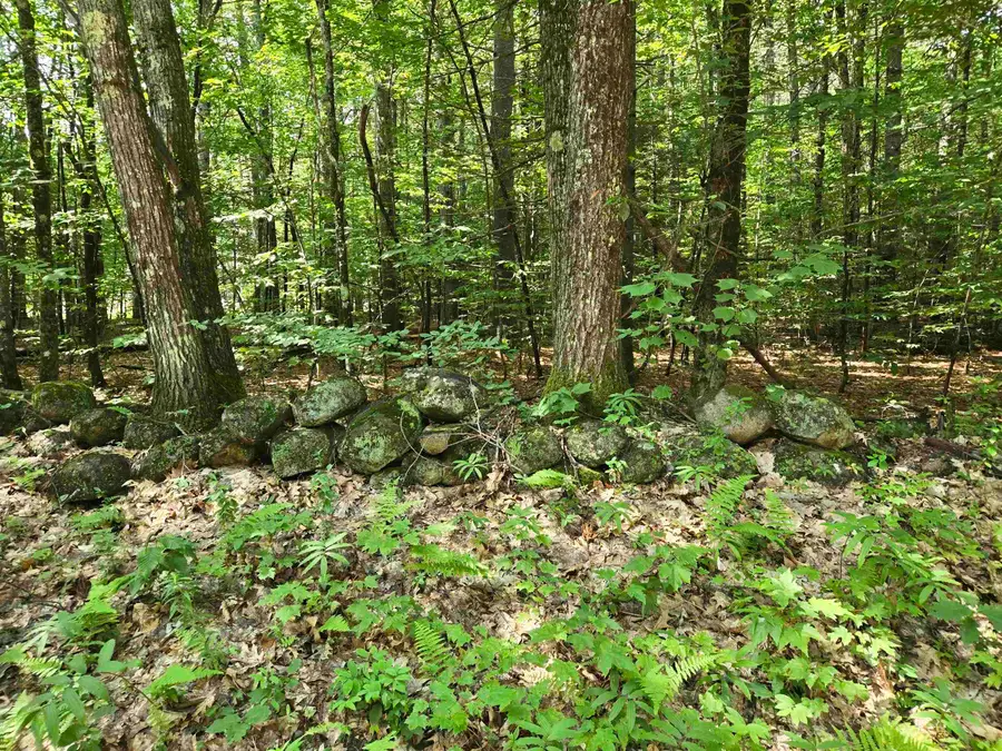 Lot 26 Davis Hill Road, Conway, NH 03813 - #3
