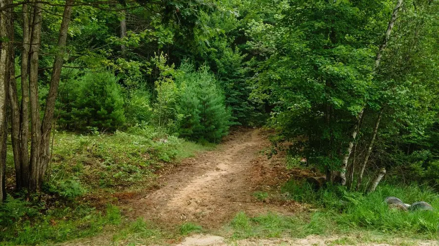 Lot 0 Pine Road, New Ipswich, NH 03071 - #2