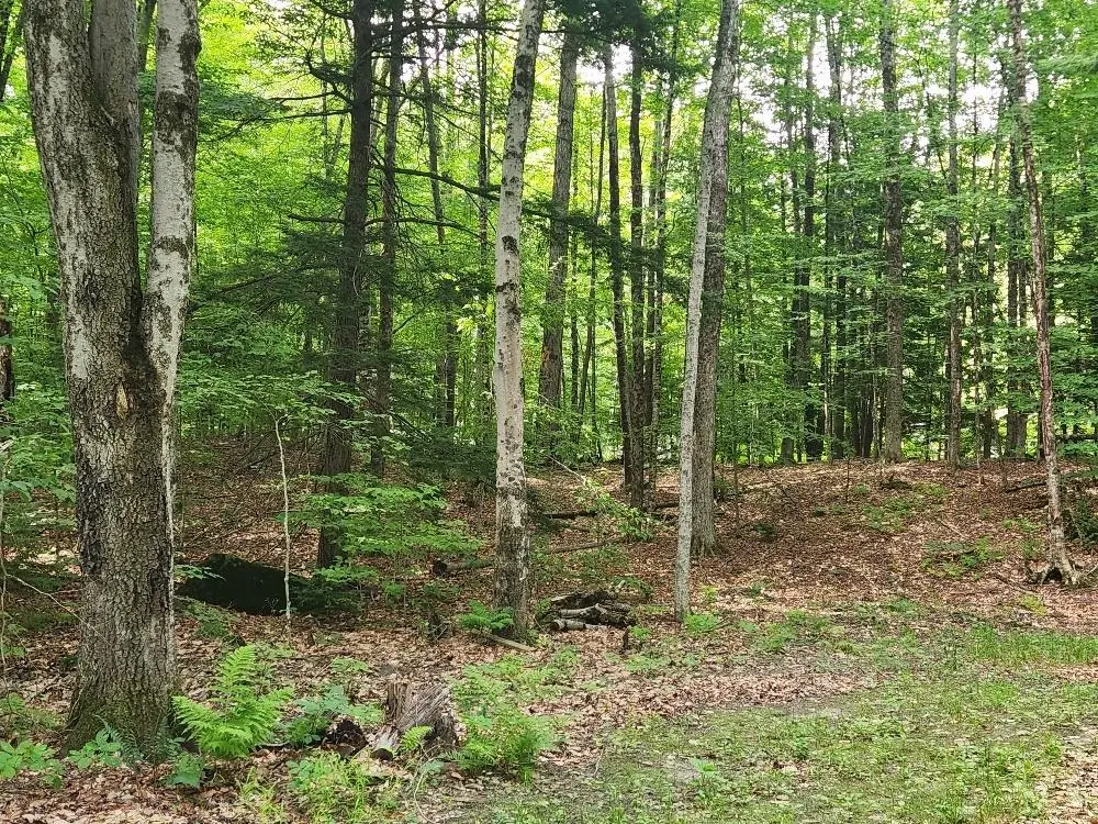0 Beechwood Drive, Cornish, NH 03745 - #1