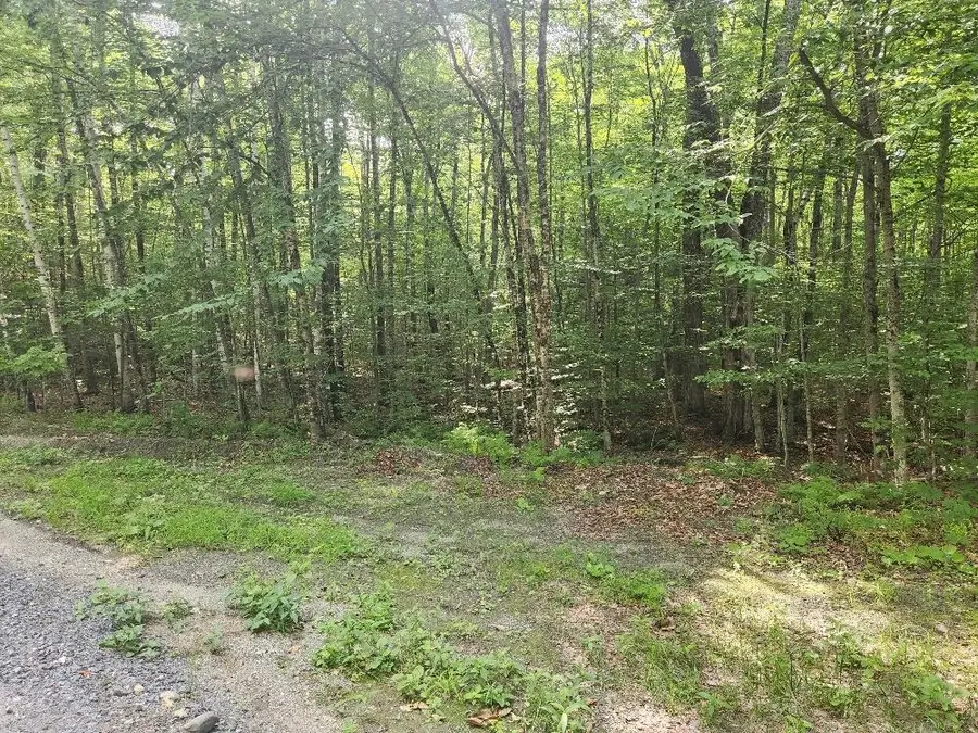 0 Beechwood Drive, Cornish, NH 03745 - #2