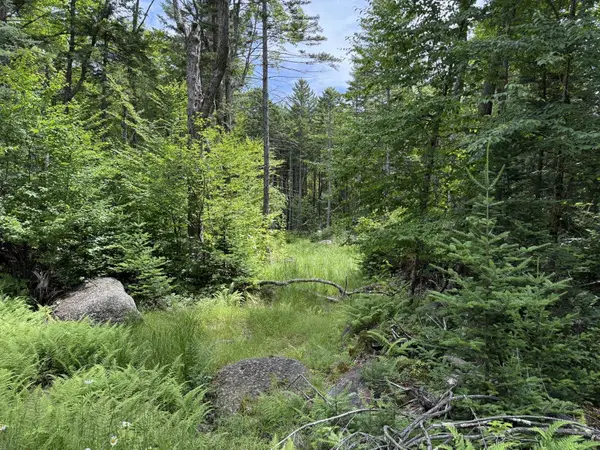 14-74 Grant Road, Washington, NH 03280