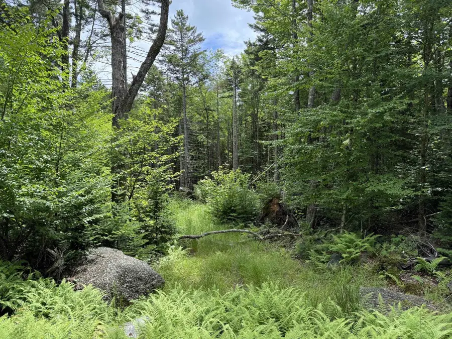 14-74 Grant Road, Washington, NH 03280 - #3