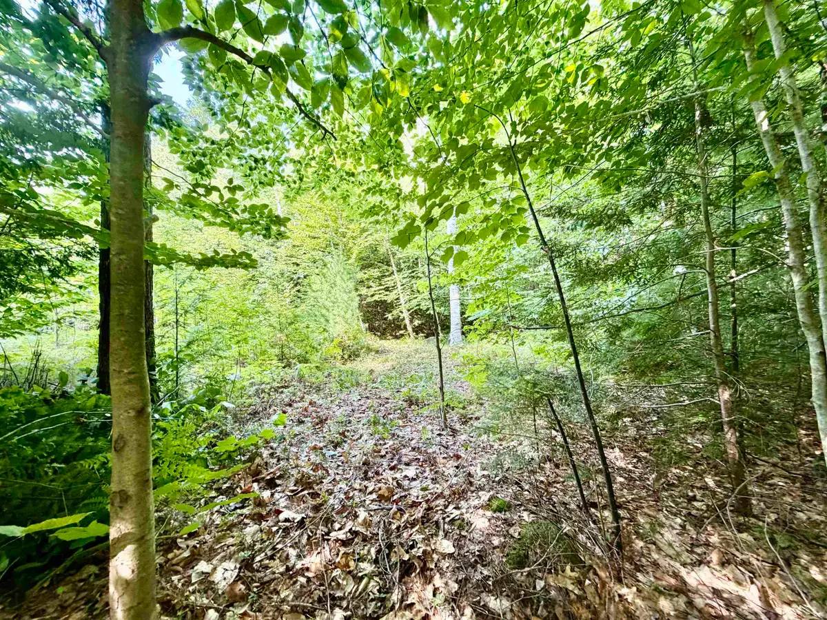 Lee Brook Road, Thornton, NH 03223 - #1