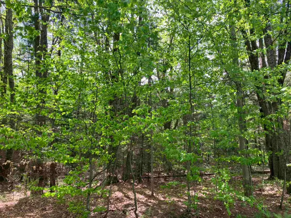 Lot 118 High Top Road #B-118, Wilmington, VT 05363