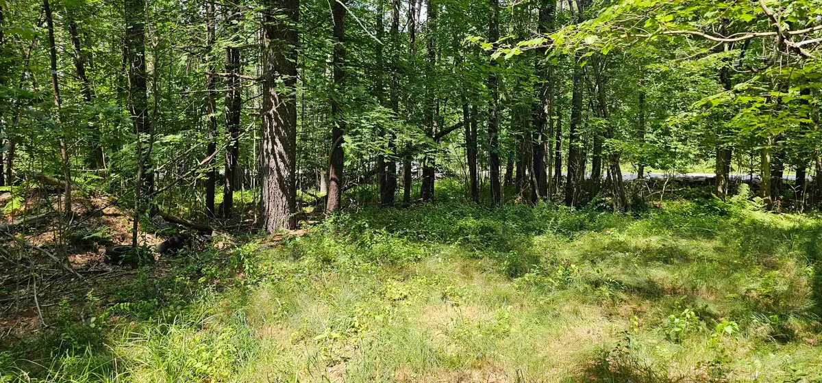 492 Moultonboro Neck Road, Moultonborough, NH 03254-4739 - #1
