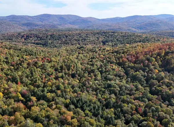 0 Black Bear Road, Jamaica, VT 05343