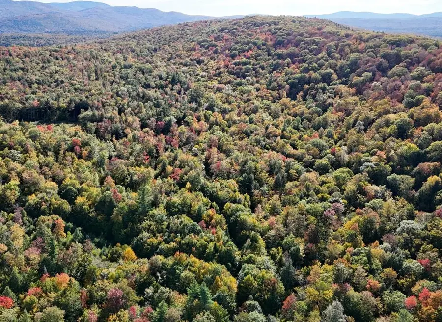 0 Black Bear Road, Jamaica, VT 05343 - #2