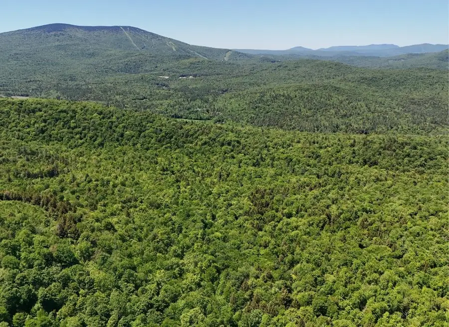 0 Black Bear Road, Jamaica, VT 05343 - #3