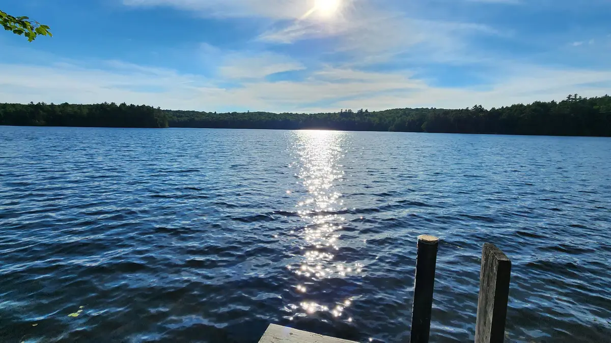 743 Washington Drive, Washington, NH 03280 - #1