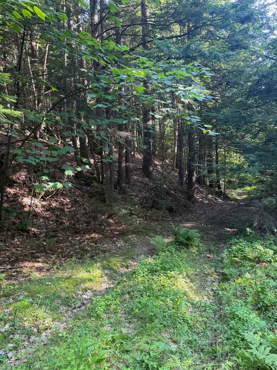 60 Pound Road, Sanbornton, NH 03269 - #3