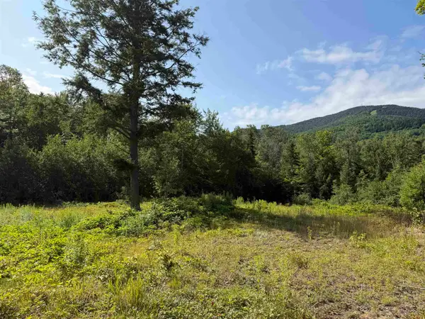 1559 Pinkham Road #Lots  3 & 4, Burke, VT 05832
