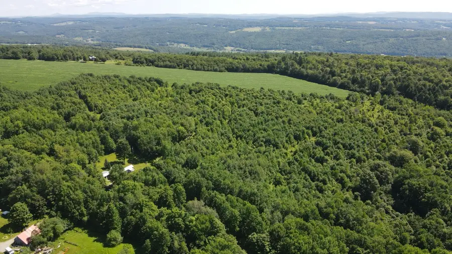 1608 Braintree Hill Road, Braintree, VT 05060 - #3