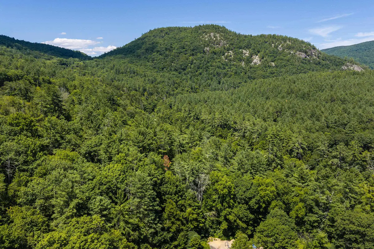 Worden Road, Jamaica, VT 05343 - #1