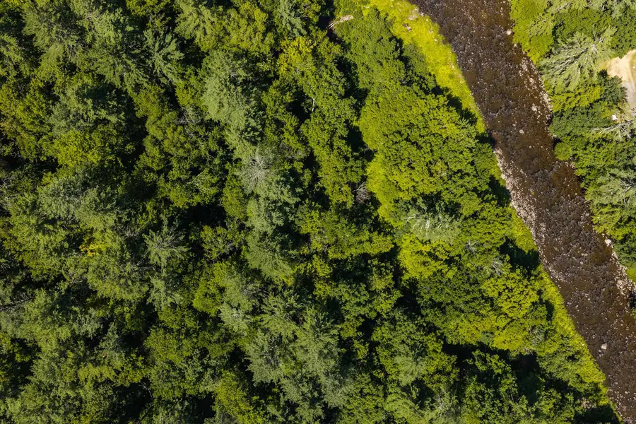 Worden Road, Jamaica, VT 05343 - #3