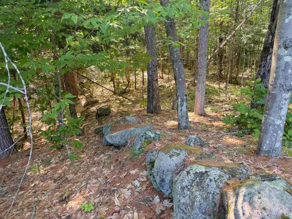Map 218 Lot 67 Alden Washburn Drive, Tamworth, NH 03886