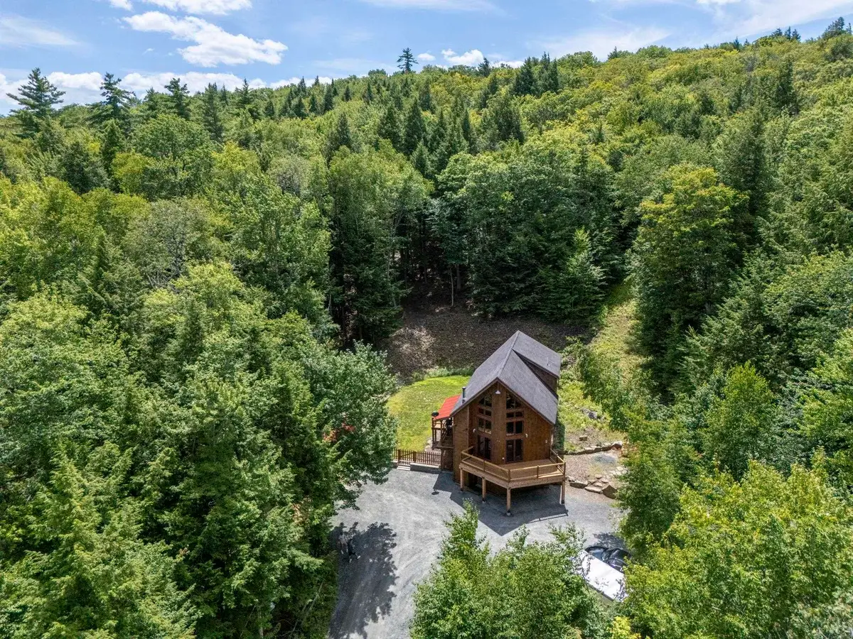 827 Mount Cardigan Road, Alexandria, NH 03222 - #1