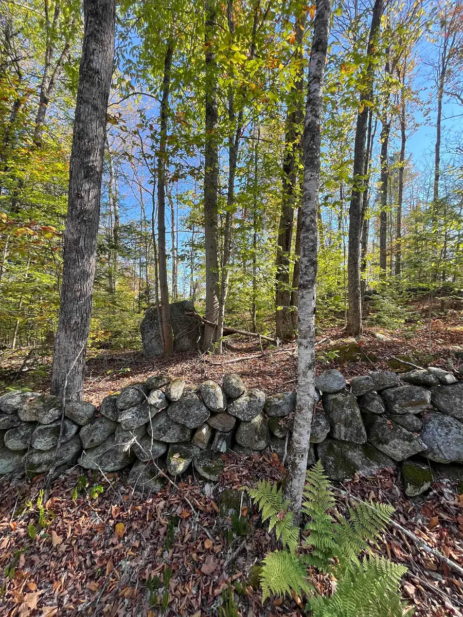 Map 227 Lot 010 Underwood Road, Acworth, NH 03601 - #2