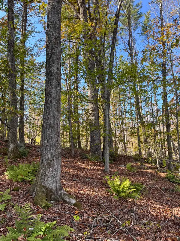 Map 227 Lot 007 Underwood Road, Acworth, NH 03601