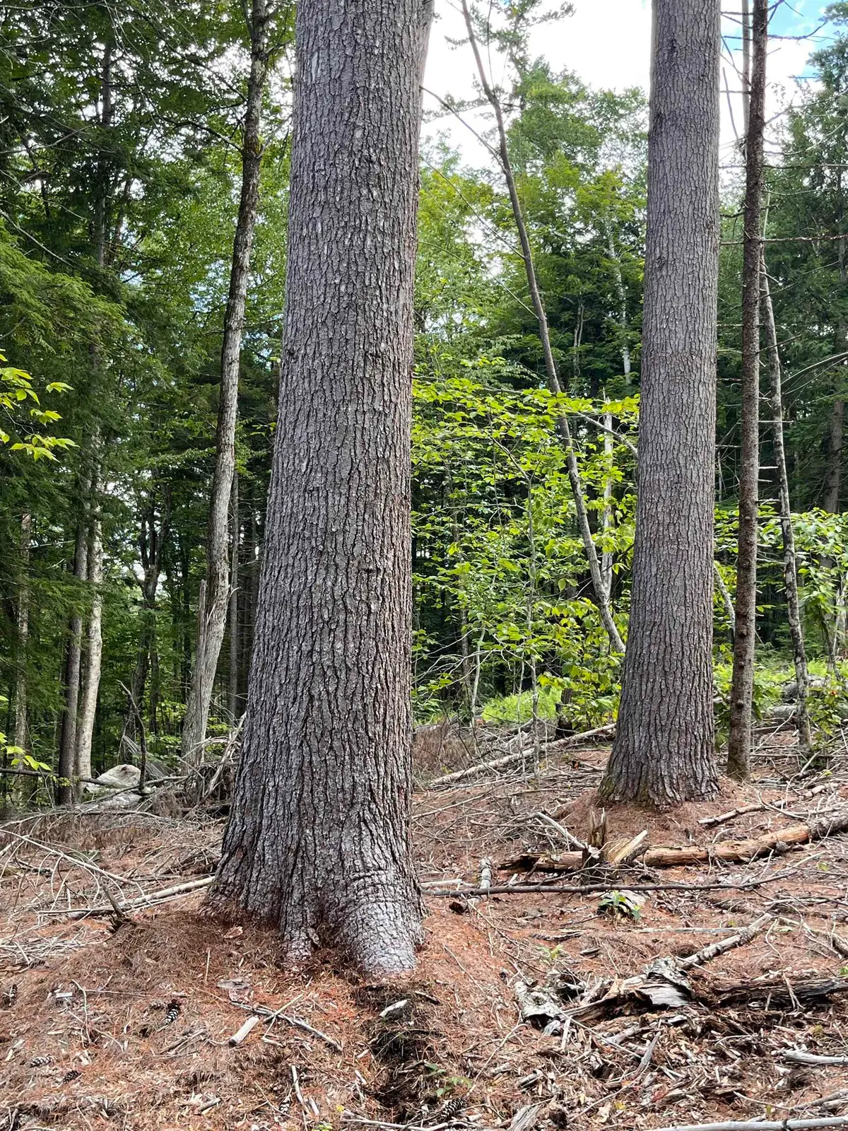 Lots 7 & 10 Underwood Road #Map 221 Lots 007 & 010, Acworth, NH 03601 - #1