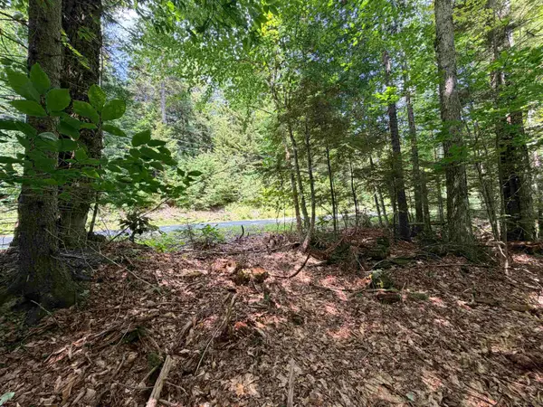 56 & 57 Boardman Loop, Wardsboro, VT 05355