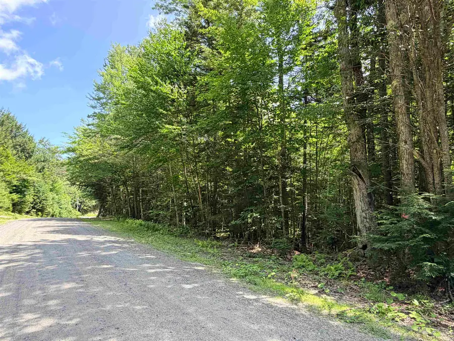 56 & 57 Boardman Loop, Wardsboro, VT 05355 - #2