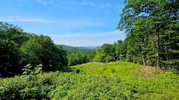 29 Mollie Road, Bridgewater, NH 03222