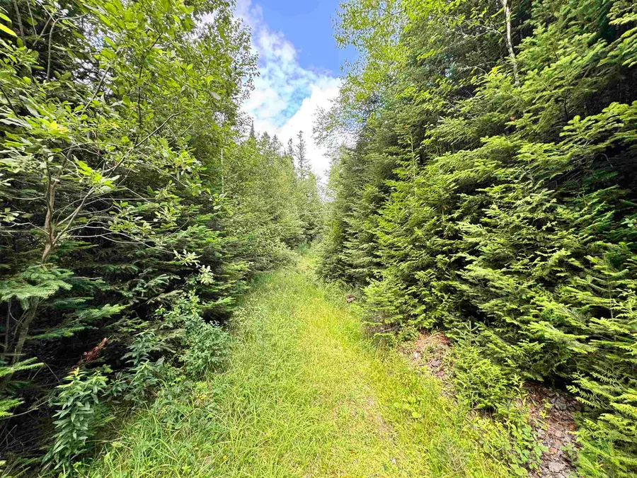 Lot 10 Quimby Road, Stewartstown, NH 03576 - #2