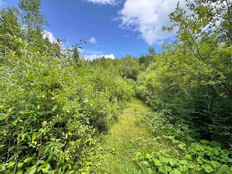 Lot 10 Quimby Road, Stewartstown, NH 03576 - #3