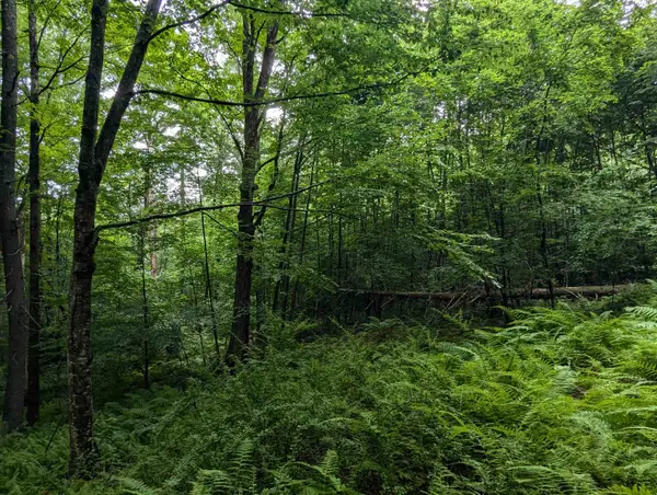 0 Dover Road, Newfane, VT 05351