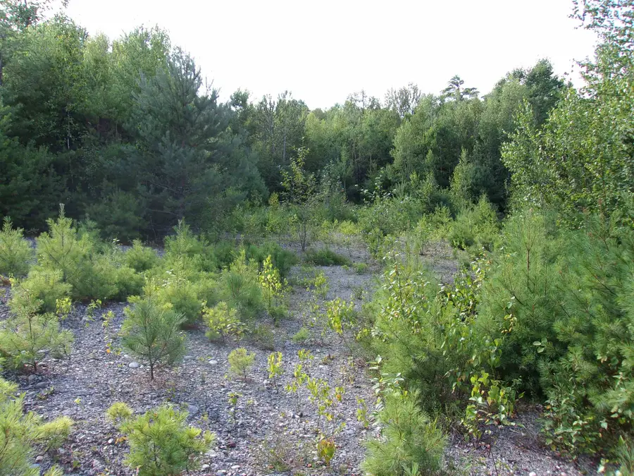 Fenn Way Circle #2, Bath, NH 03740 - #2
