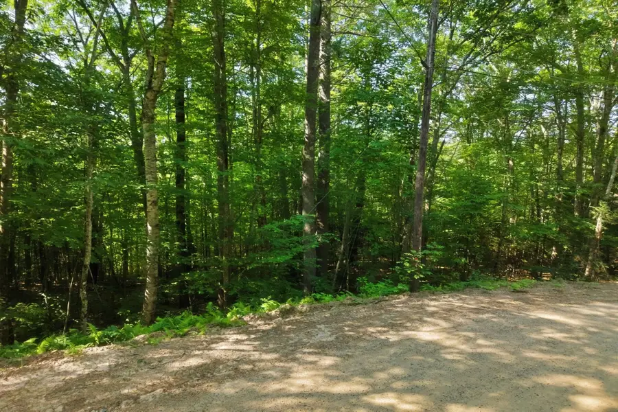 10-3-9 Tobey Road, Campton, NH 03223 - #3