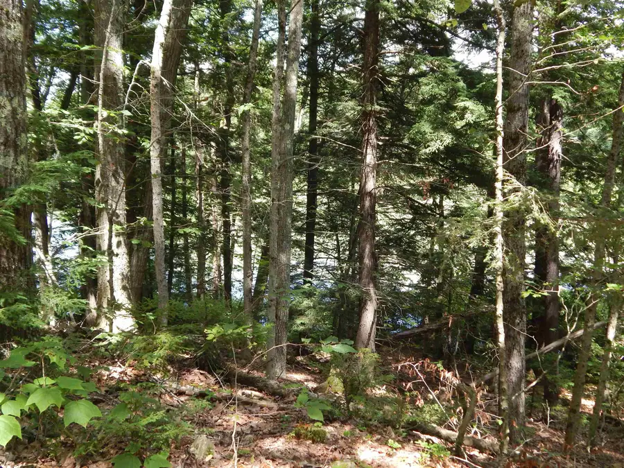 Pine Cliff Road, Alstead, NH 03602 - #3