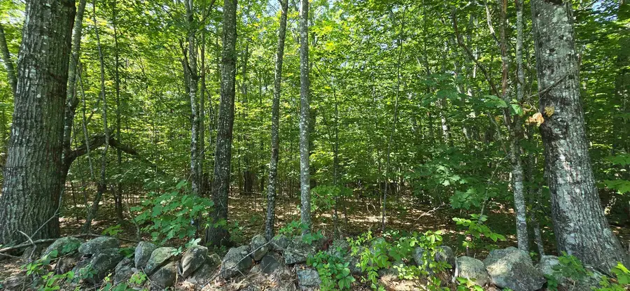 406-17 Guinea Ridge Road, Gilmanton, NH 03237 - #2