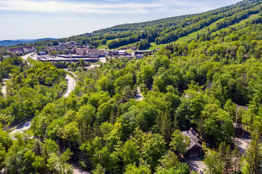 11 Founders Hill Road, Stratton Mountain, VT 05155 - #2