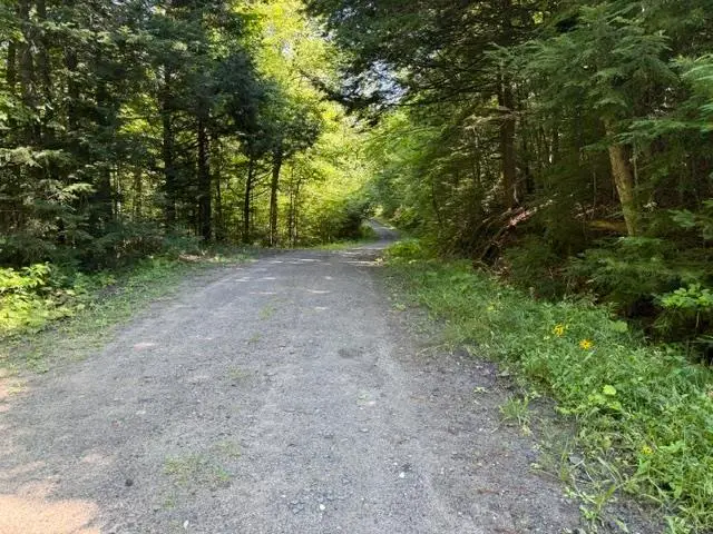 362 Mero Road, Vershire, VT 05079 - #3