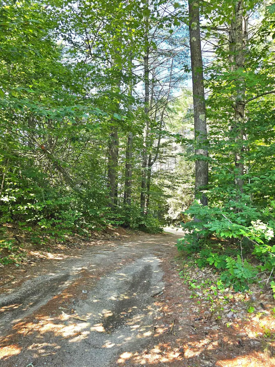 21 Wildwood Road, Albany, NH 03813 - #3