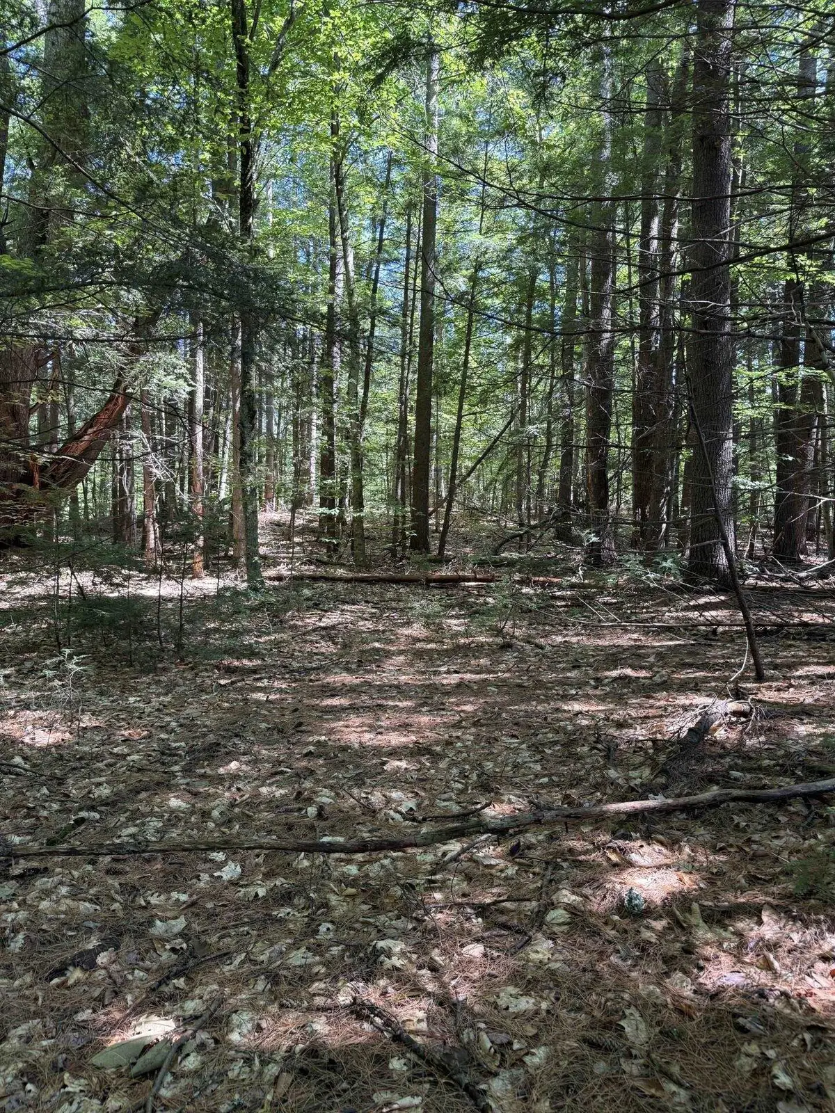 0000 Route 175 #4, Holderness, NH 03245 - #1