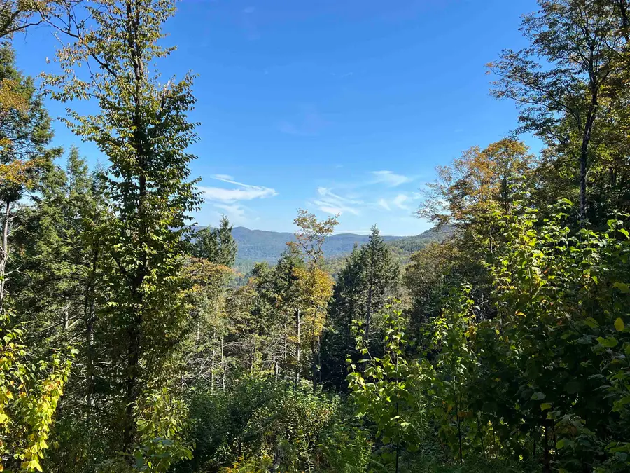 VT Route 100 South, Jamaica, VT 05343 - #3