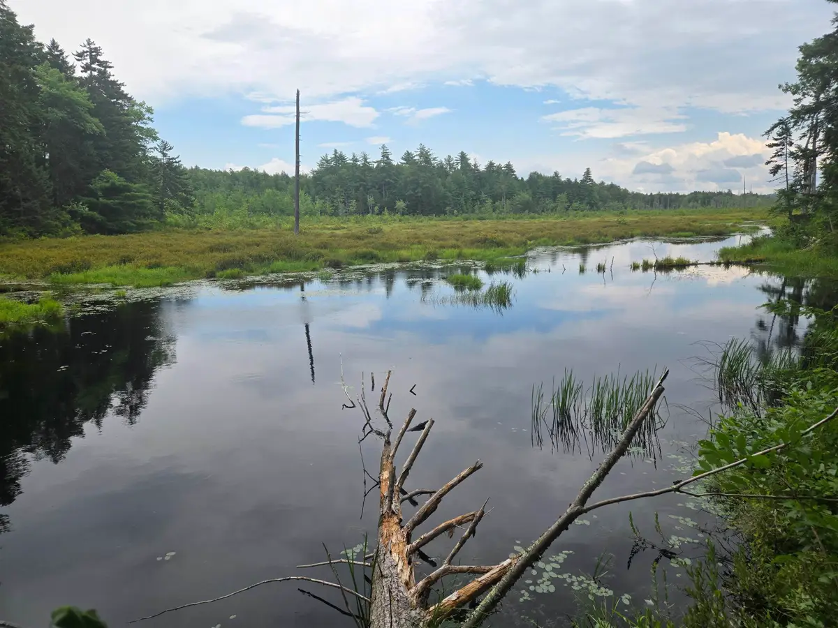 Lot 14 & 14.1 Brownfield Road, Conway, NH 03813 - #1