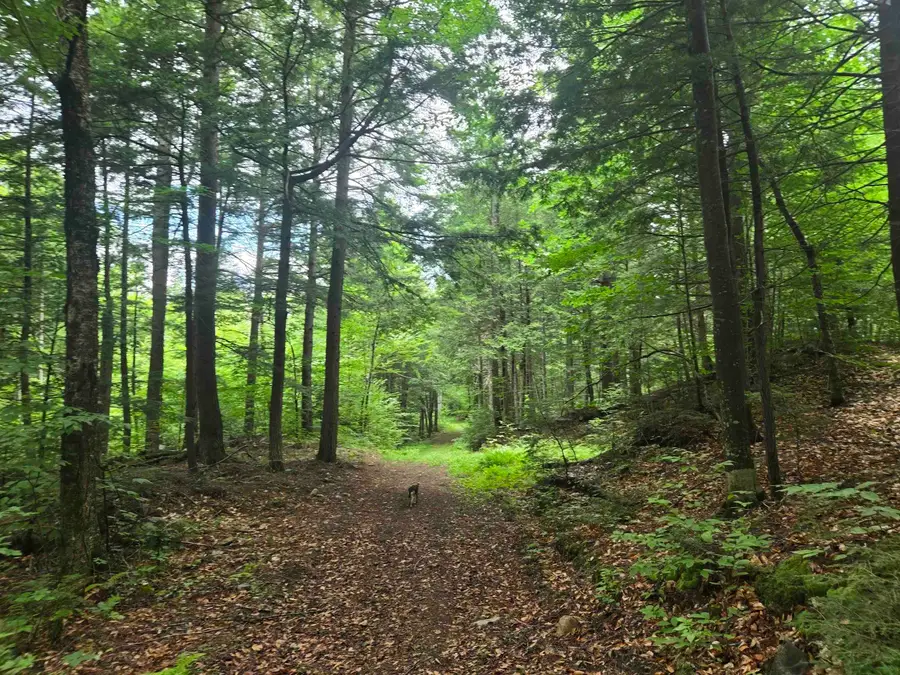 Lot 14 & 14.1 Brownfield Road, Conway, NH 03813 - #3