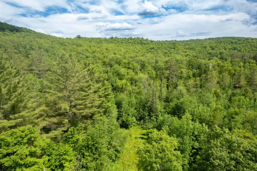 230 Taylor Valley Road, Strafford, VT 05072 - #3