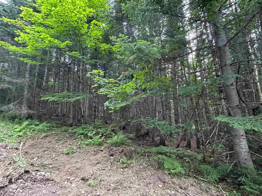 Sugar Hill Road #1, Stewartstown, NH 03576 - #3