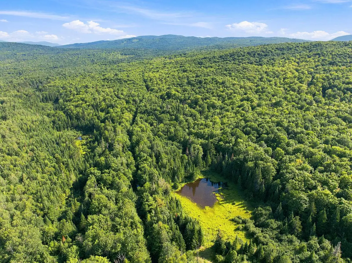 2580 Canaan Hill Road, Averill, VT 05903 - #1